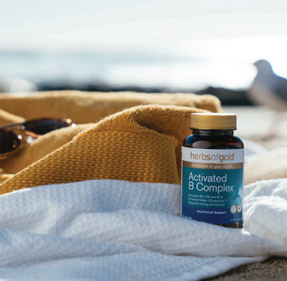 活性維生素B群